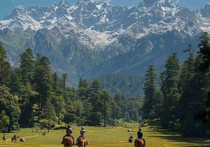dalhousie6-