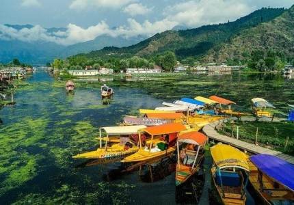 kashmir-6--1