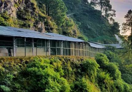 katra-local-2